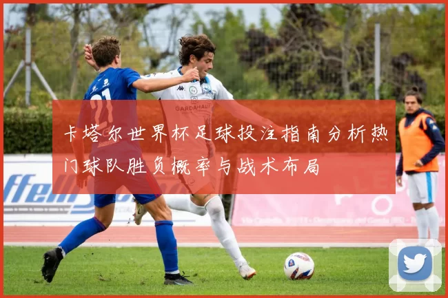 卡塔尔世界杯足球投注指南分析热门球队胜负概率与战术布局