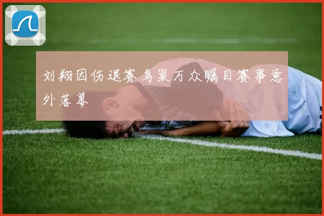 刘翔因伤退赛鸟巢万众瞩目赛事意外落幕